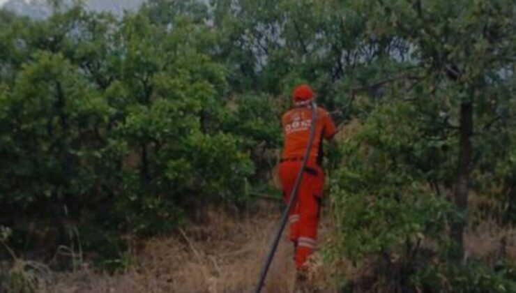 Bingöl’de çıkan orman yangını söndürüldü