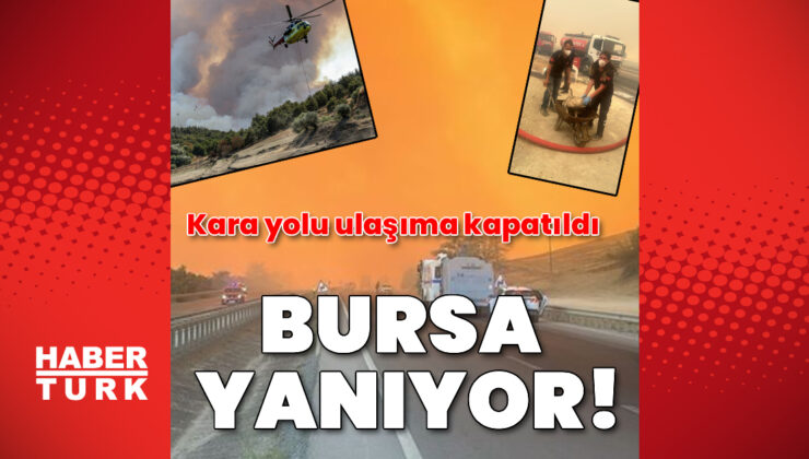 Bursa’da orman yangını! Havadan ve karadan müdahale