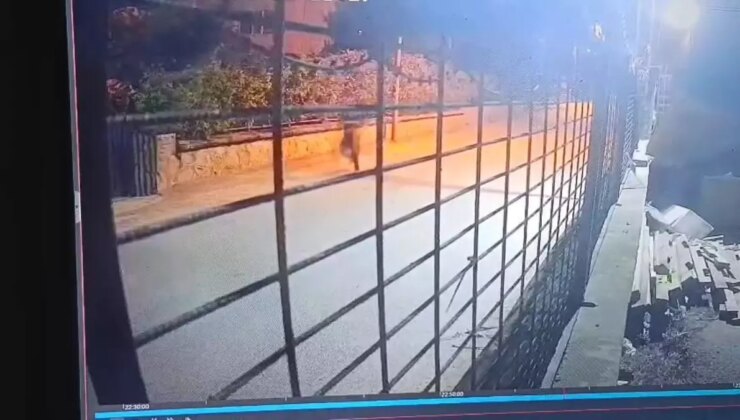 Eyüpsultan’da taksiciyi öldüren şüpheli tutuklandı