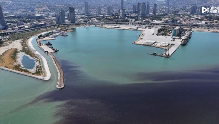 İzmir Körfezi’nde balık ölümleri yeniden başladı