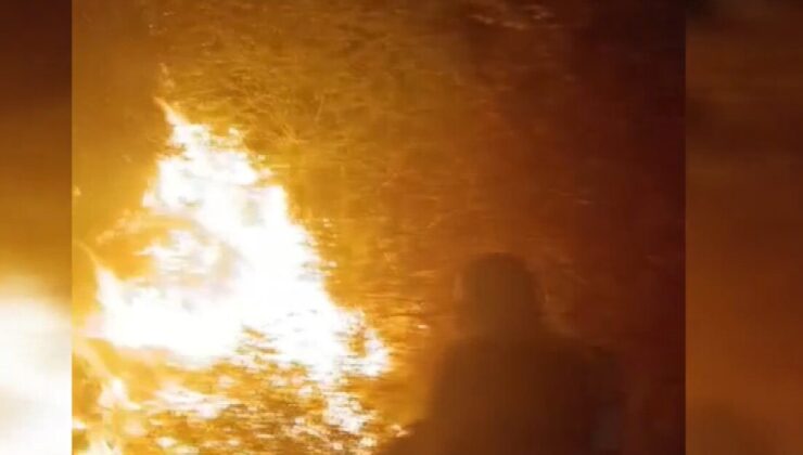 Marmara Adası’nda orman yangını