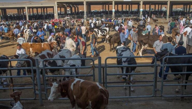 Tarım Bakanlığı’ndan şap hastalığına ilişkin açıklama: 24 ildeki hayvan pazarları yeniden açıldı