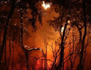 Antalya ve Muğla’da yangın