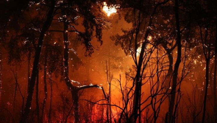 Antalya ve Muğla’da yangın