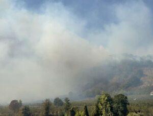 Düzce’de orman yangını söndürüldü