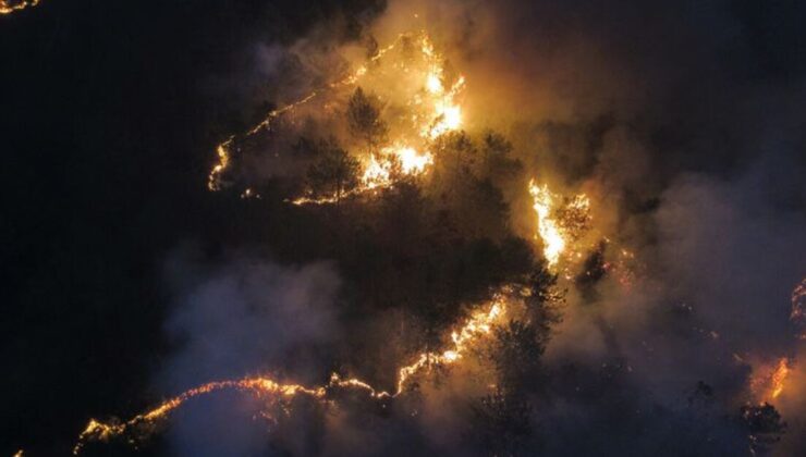 Karabük, Kastamonu ve Denizli’de yangın! 5 kişi gözaltında