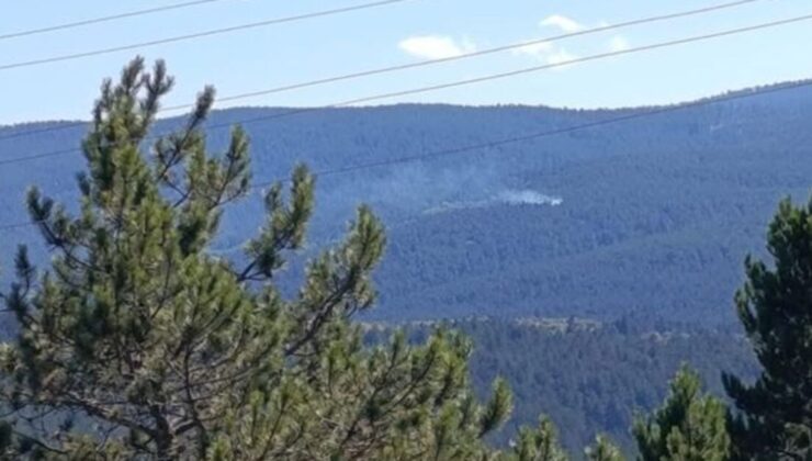 Kastamonu’da orman yangını çıktı