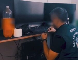 Siber suç operasyonu: 125 tutuklama!