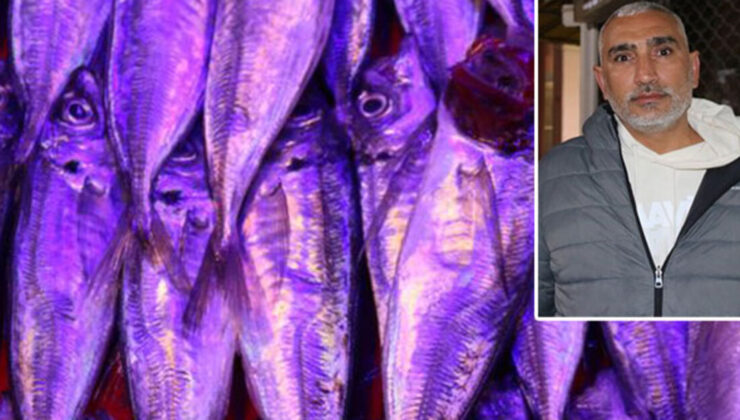 Çupra ile dövdüler! Parmağı kırıldı!