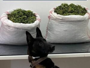 Erzurum’da 32 kilo uyuşturucu ele geçirildi