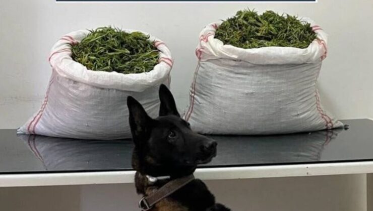 Erzurum’da 32 kilo uyuşturucu ele geçirildi