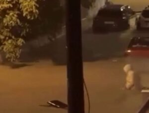 İzmir ve Manisa’da sağanak yağış etkili oldu