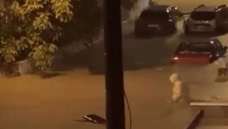 İzmir ve Manisa’da sağanak yağış etkili oldu