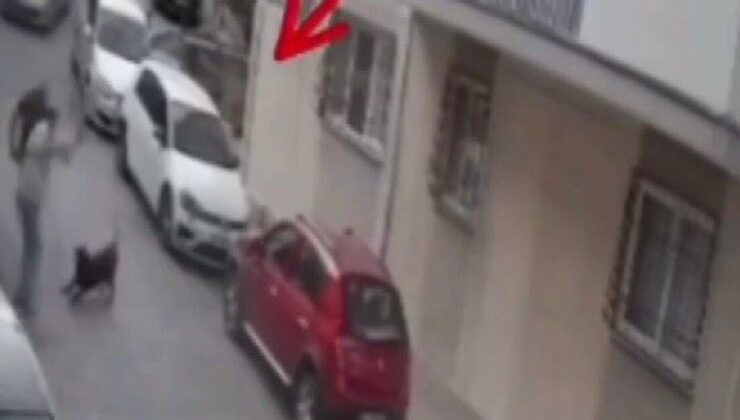 Köpeğe kemerle vurdu!