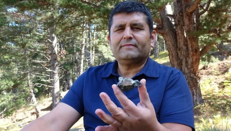 Mantar toplamaya çıktı göktaşı buldu!