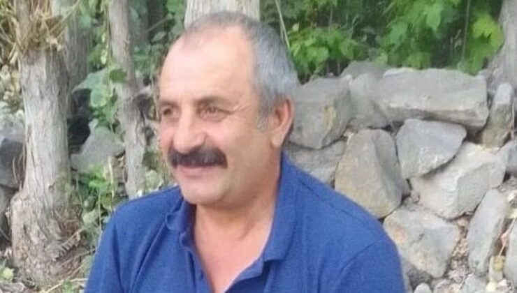 Üzerine tomruk düşen işçi öldü