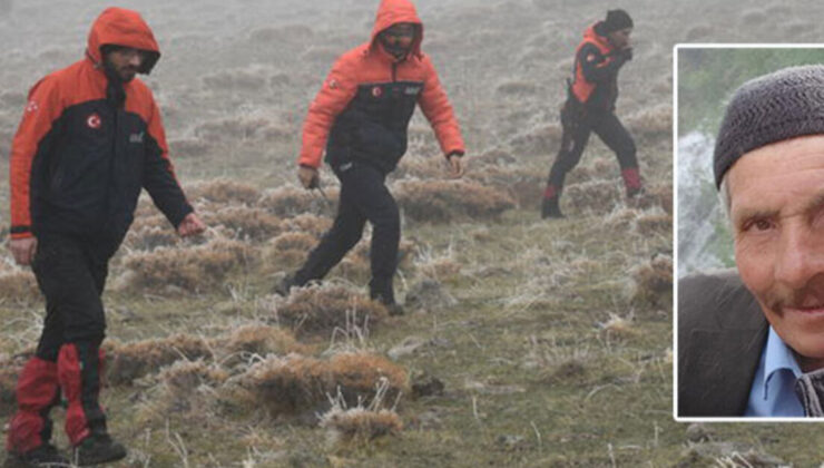 160 koyunu otlatmaya çıkardı… Çoban sürüsüyle kayboldu!