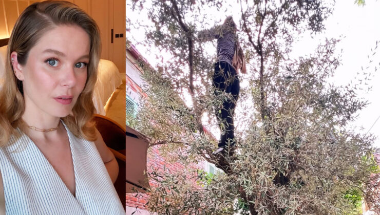 Burcu Biricik’ten zeytin hasadı