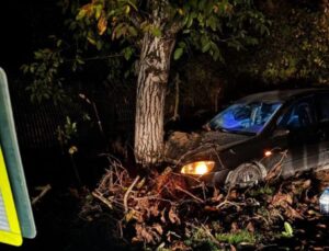 Bursa’da otomobil ağaca çarptı: 3 yaralı