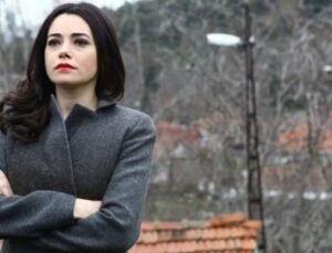 Özgü Namal çocuklarıyla birlikte trafik kazası geçirdi